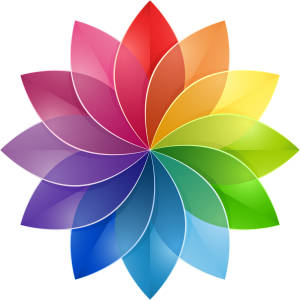 HIWI Color Wheel Flower